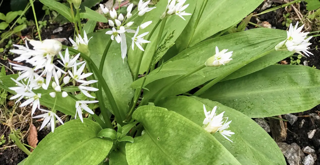 screen shot 2022-06-07 at 15 51 15